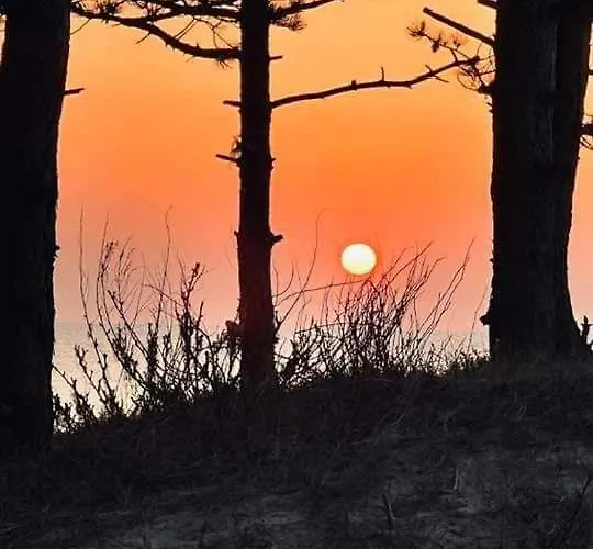 Pod Debem Apartamento